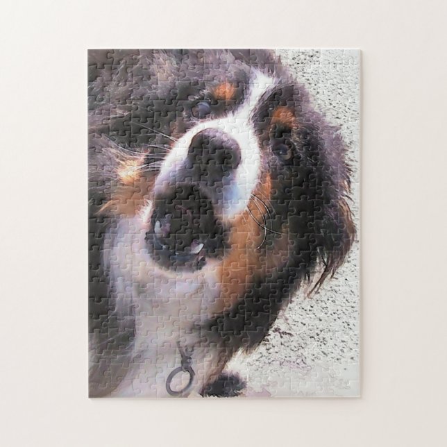 GRENZCOLLIE PUZZLE (Vertikal)