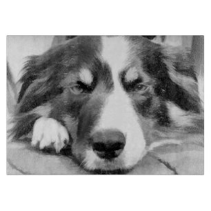 GRENZCOLLIE SCHNEIDEBRETT