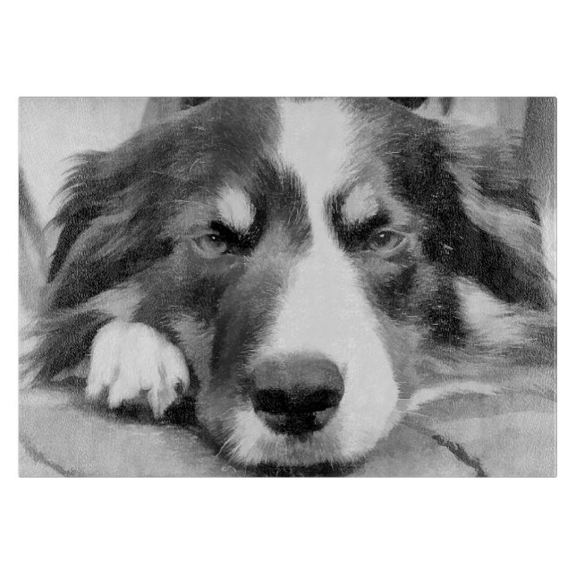 GRENZCOLLIE SCHNEIDEBRETT (Vorderseite)