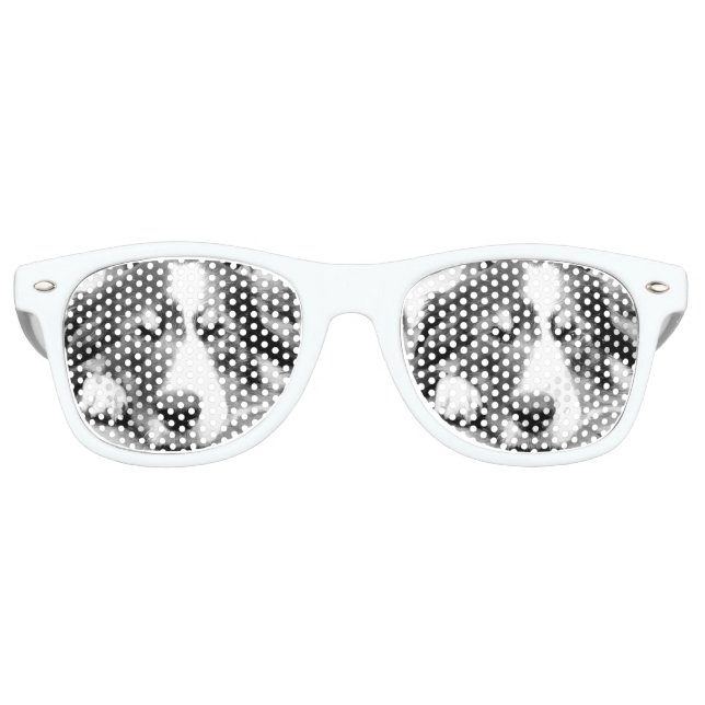 GRENZCOLLIE SONNENBRILLE (Vorderseite)