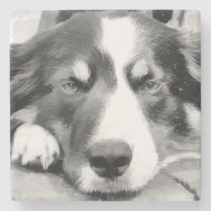 GRENZCOLLIE STEINUNTERSETZER