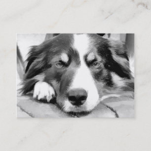 GRENZCOLLIE VISITENKARTE