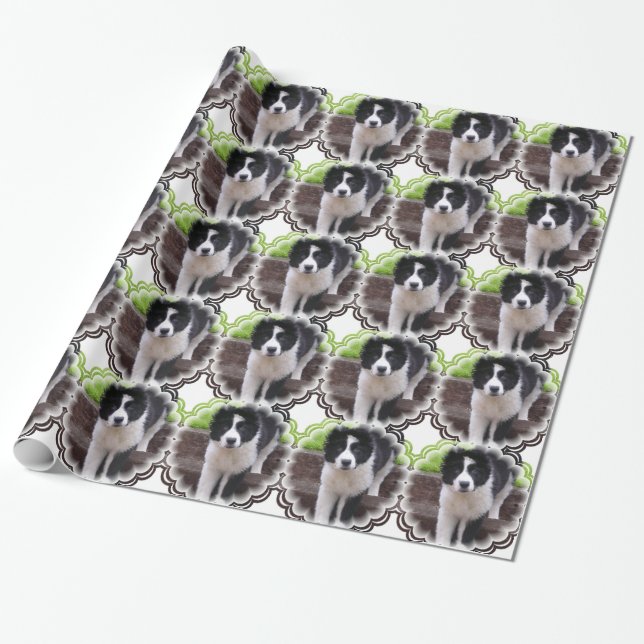 GrenzCollies Geschenkpapier (Ungerollt)
