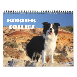 GrenzCollies-Kalender Kalender