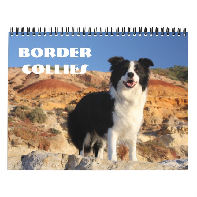 GrenzCollies-Kalender Kalender (Titelbild)