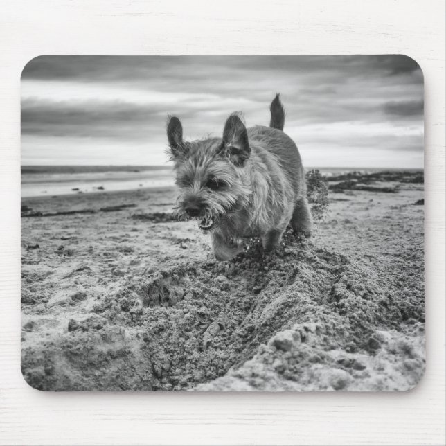 Grenze grabendes Terrier, Fotografie, Mousepad (Vorne)