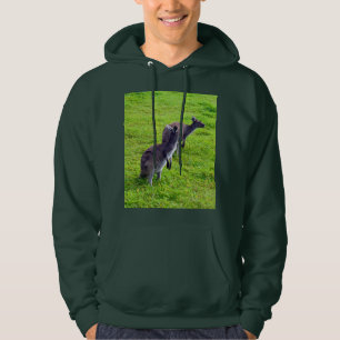 Grenzenlose Horizonte: Graues Kangaroos auf grassy Hoodie