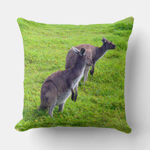 Grenzenlose Horizonte: Graues Kangaroos auf grassy Kissen