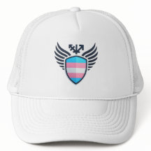 Grenzflächenbegrenzung für das Trans-Flaggen
