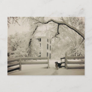 Grenzkollie Postkarte