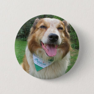 Grenzkollisionsmischung Button