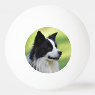 Grenzkologe Tischtennisball