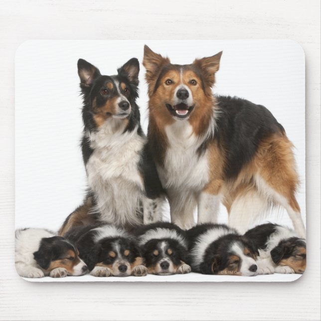 Grenzkolonie Mousepad (Vorne)