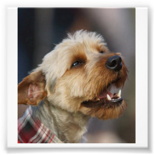 Grenzquerschnitt Fotodruck