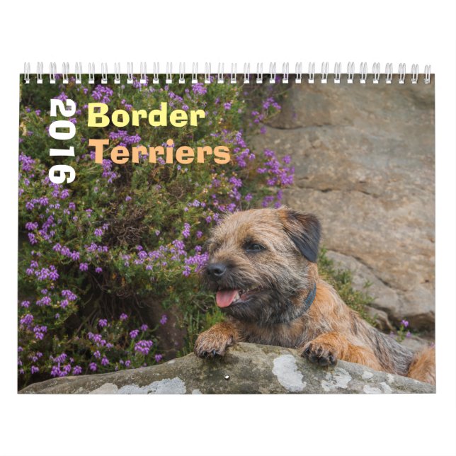GrenzTerrier-Hund, Medium, weißer Kalender (Titelbild)
