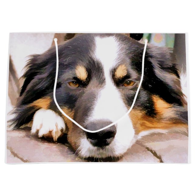 GRENZÜBERSCHREITENDE COLLIES GROßE GESCHENKTÜTE (Vorderseite)