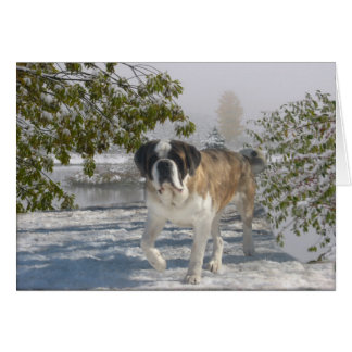 Gretting Karte des jedes Anlasses