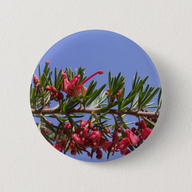 Grevillea Button (Vorderseite)