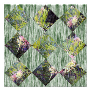 Grevillea: Die Diamantenmuster der Natur umsetzen, Fotodruck