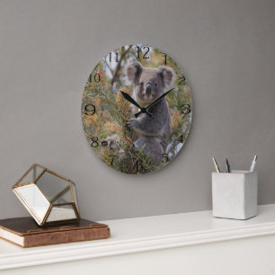 Grevillea Koala Bear, Große Wanduhr