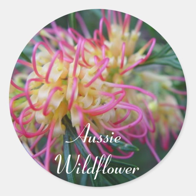 Grevillea Runder Aufkleber (Vorderseite)