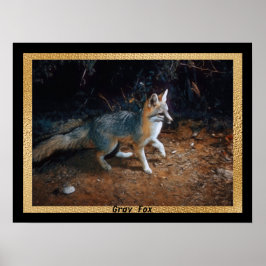 Grey Fox Ready Poster