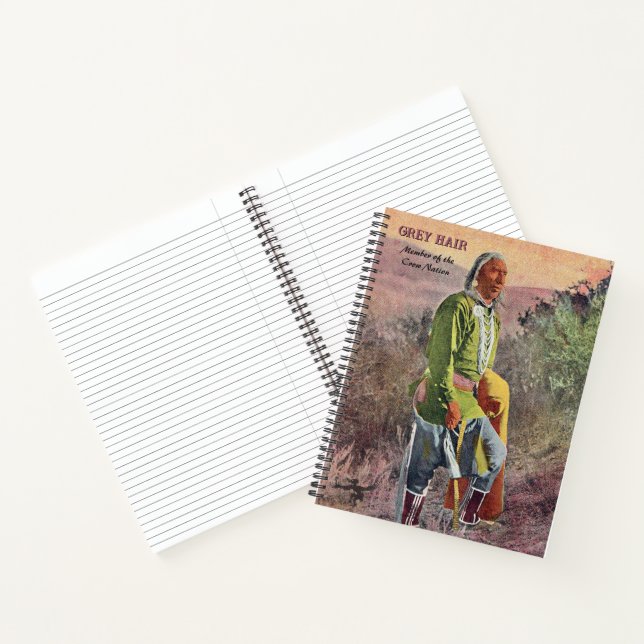 Grey Hair Native American Notebook Notizbuch (Innenseite)