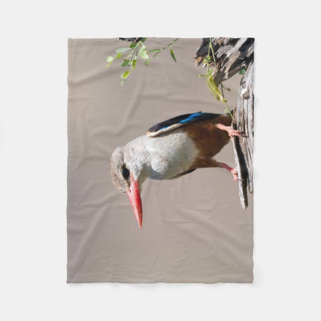Grey-Headed Kingfisher Fleecedecke (Vorderseite)