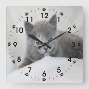 Grey Kitten Licking Snow Quadratische Wanduhr