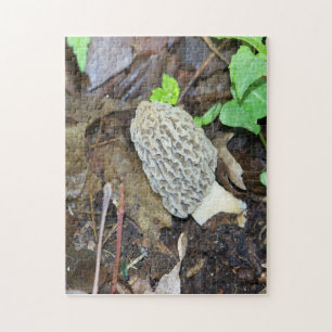 Grey Morel Mushroom Puzzle