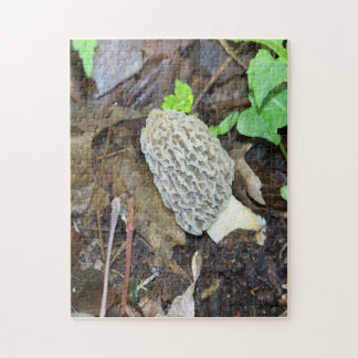 Grey Morel Mushroom Puzzle
