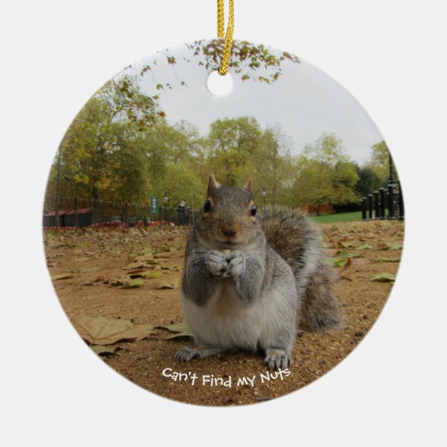 Grey Squirrel Hyde Park. Dekoration von Keramiken (Vorne)