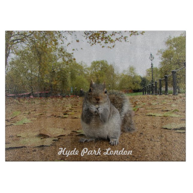 Grey Squirrel Hyde Park London. Schneidebrett (Vorderseite)