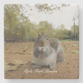 Grey Squirrel Hyde Park London. Steinuntersetzer