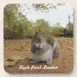 Grey Squirrel Hyde Park London. Untersetzer