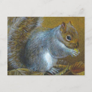 Grey squirrel with nut art painting postcard postkarte