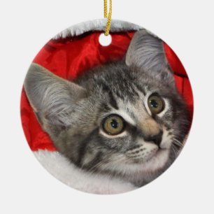 Greyfoot Katzen-Rettungs-silbernes Keramik Ornament