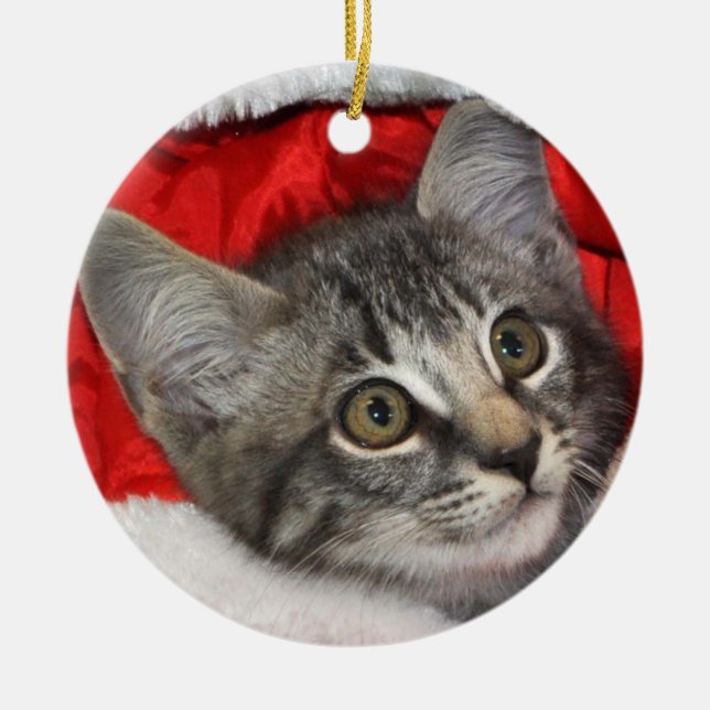 Greyfoot Katzen-Rettungs-silbernes Keramik Ornament (Vorne)