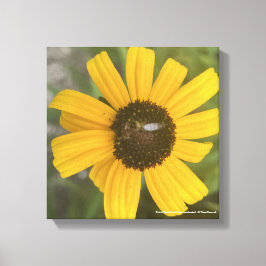 greyforaday Yellow Floral Print Leinwanddruck