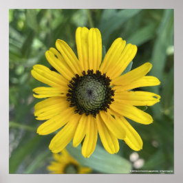 greyforaday Yellow Floral Print Poster