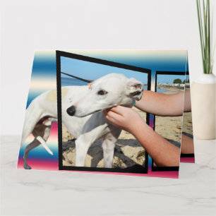 Greyhound 3 Dimensions Big Greeting Card Karte