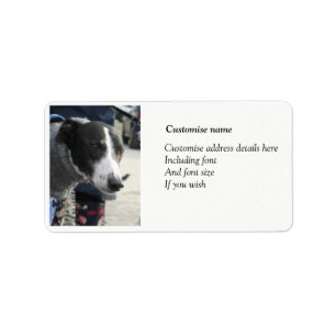 Greyhound-Adressetiketten Adressaufkleber
