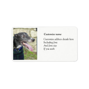 Greyhound-Adressetiketten Adressaufkleber