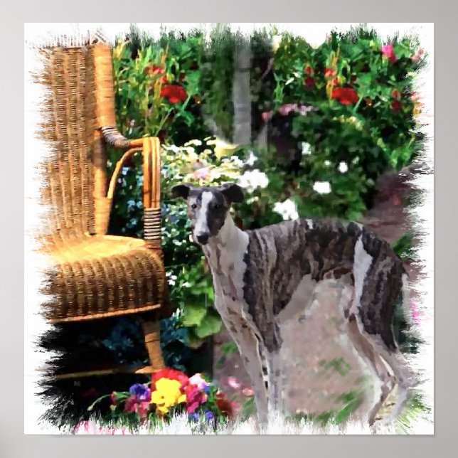 Greyhound Art Print Poster (Vorne)