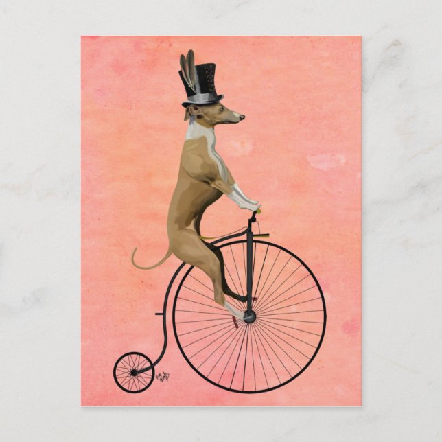 Greyhound auf Black Penny Farthing Postkarte (Vorderseite)