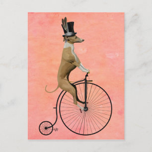 Greyhound auf Black Penny Farthing Postkarte