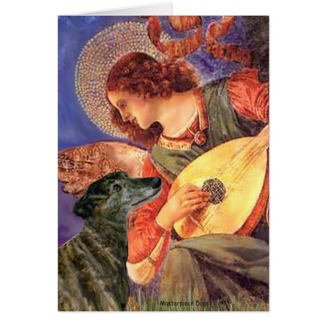 Greyhound (br2) - Mandolin Angel (Vorne)