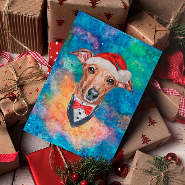 Greyhound Breed Dog Weihnachten (Von Creator hochgeladen)