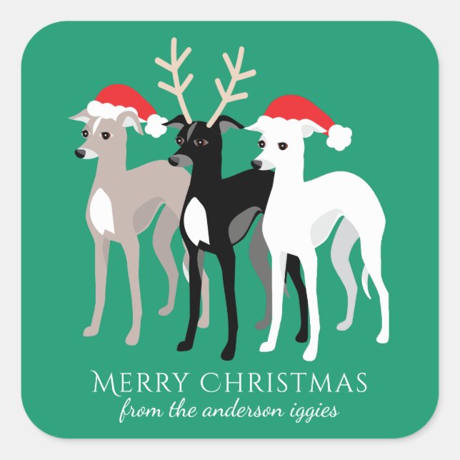 Greyhound Christmas Iggy Quadratischer Aufkleber (Vorderseite)