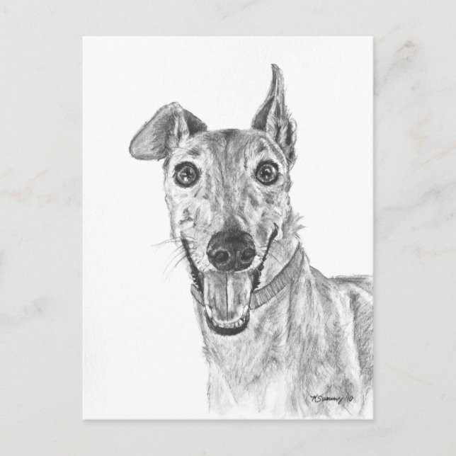 Greyhound Closeup Zeichnend Postkarte (Vorderseite)